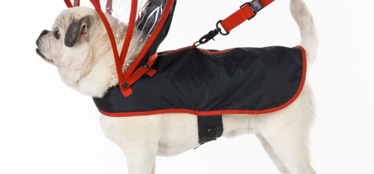 13 SkyMall Products for Kids You Might Want to Skip 13 SkyMall Products for Kids You Might Want to Skip