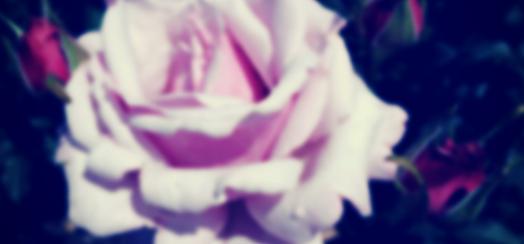 9 Reasons You Should Up Your Valentine’s Gift Giving Game 9 Reasons You Should Up Your Valentine’s Gift Giving Game
