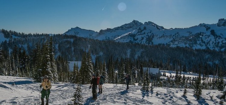 Take the Family to Play in These 10 National Parks this Winter Take the Family to Play in These 10 National Parks this Winter