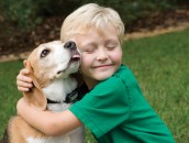 How to Introduce Pets & Kids