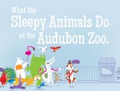 Book Review: What the Sleepy Animals Do at the Audubon Zoo