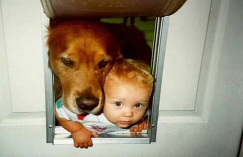 Kids and Pets - Funny Photos Part III (4)