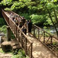 Lacamas Hike