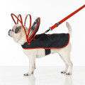 Push-Pushi-Dog-Raincoat-900x900