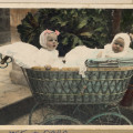 Old Fashioned Baby Pic